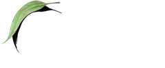 Bob Brown Foundation